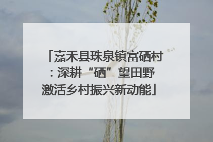 嘉禾县珠泉镇富硒村：深耕“硒”望田野 激活乡村振兴新动能