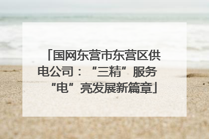 国网东营市东营区供电公司：“三精”服务“电”亮发展新篇章