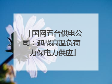 国网五台供电公司：迎战高温负荷 力保电力供应