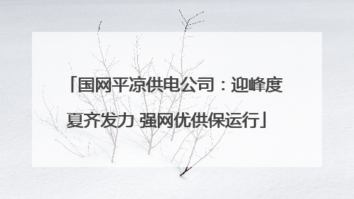 国网平凉供电公司：迎峰度夏齐发力 强网优供保运行