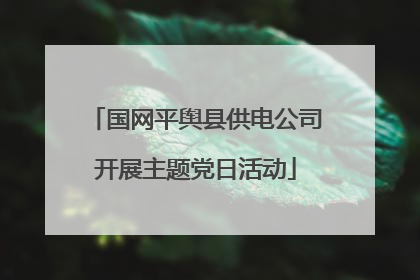 国网平舆县供电公司开展主题党日活动