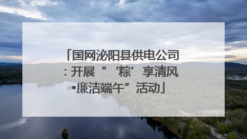 国网泌阳县供电公司：开展“‘粽’享清风 •廉洁端午”活动