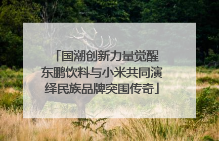 国潮创新力量觉醒 东鹏饮料与小米共同演绎民族品牌突围传奇