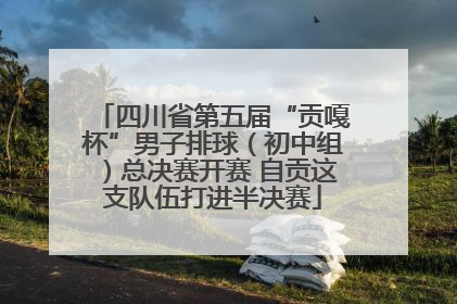 四川省第五届“贡嘎杯”男子排球（初中组）总决赛开赛 自贡这支队伍打进半决赛
