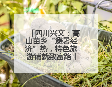 四川兴文：高山苗乡“避暑经济”热，特色旅游铺就致富路丨“石榴花开”四川行⑧