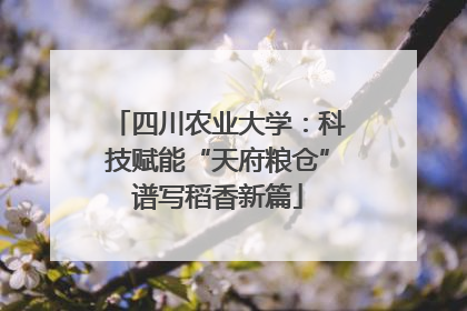 四川农业大学：科技赋能“天府粮仓”谱写稻香新篇