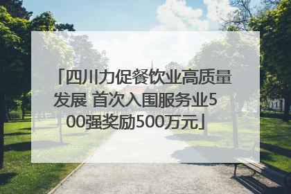 四川力促餐饮业高质量发展 首次入围服务业500强奖励500万元