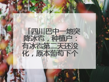 四川巴中一地突降冰雹，种植户：有冰雹第二天还没化，原本葡萄下个月上市，现在全被打落