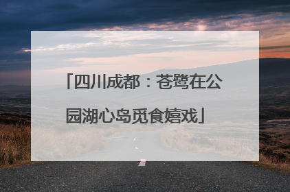 四川成都：苍鹭在公园湖心岛觅食嬉戏