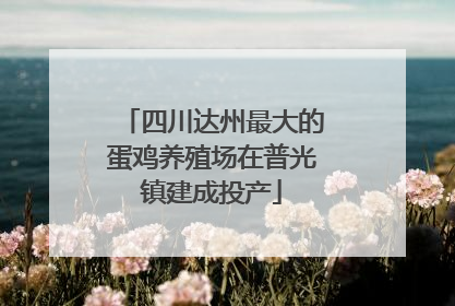 四川达州最大的蛋鸡养殖场在普光镇建成投产