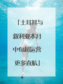 土耳其与叙利亚本月中旬起运营更多直航
