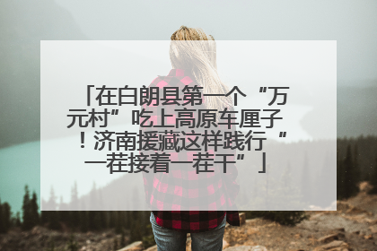 在白朗县第一个“万元村”吃上高原车厘子！济南援藏这样践行“一茬接着一茬干”