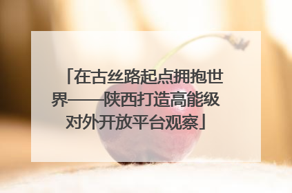 在古丝路起点拥抱世界——陕西打造高能级对外开放平台观察