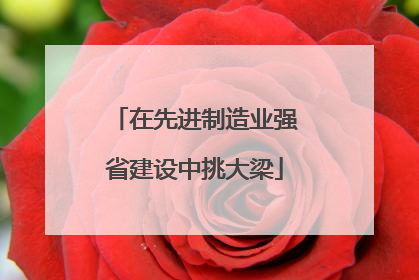 在先进制造业强省建设中挑大梁