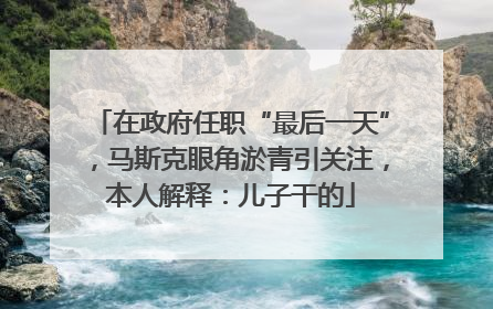 在政府任职“最后一天”，马斯克眼角淤青引关注，本人解释：儿子干的
