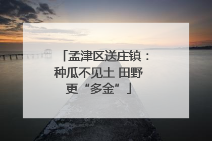 孟津区送庄镇：种瓜不见土 田野更“多金”