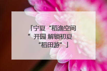 宁夏“稻渔空间”开园 解锁初夏“稻田游”