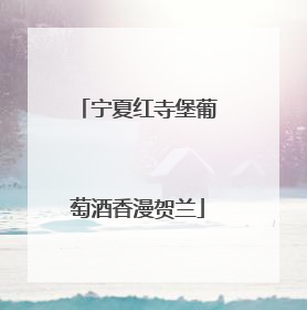 宁夏红寺堡葡萄酒香漫贺兰