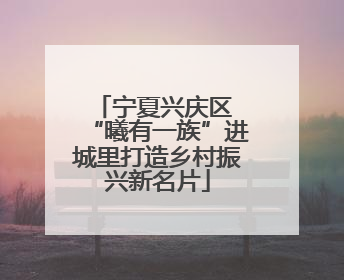 宁夏兴庆区 “曦有一族”进城里打造乡村振兴新名片