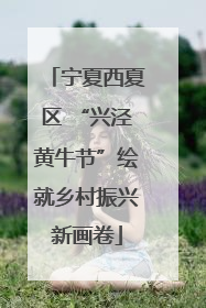 宁夏西夏区 “兴泾黄牛节”绘就乡村振兴新画卷