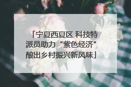 宁夏西夏区 科技特派员助力“紫色经济”酿出乡村振兴新风味