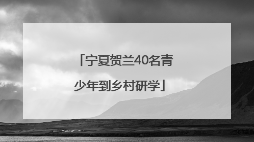 宁夏贺兰40名青少年到乡村研学
