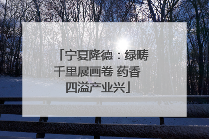 宁夏隆德：绿畴千里展画卷 药香四溢产业兴