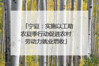 宁夏：实施以工助农夏季行动促进农村劳动力就业增收