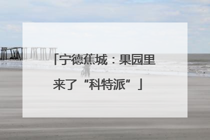 宁德蕉城：果园里来了“科特派”
