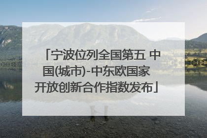 宁波位列全国第五 中国(城市)-中东欧国家开放创新合作指数发布