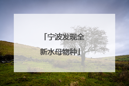 宁波发现全新水母物种