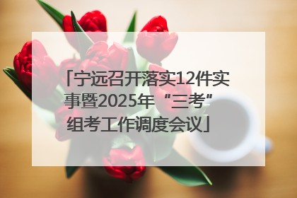 宁远召开落实12件实事暨2025年“三考”组考工作调度会议