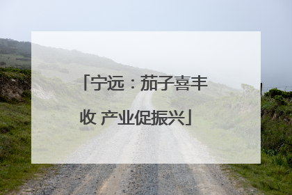 宁远：茄子喜丰收 产业促振兴