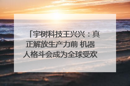 宇树科技王兴兴：真正解放生产力前 机器人格斗会成为全球受欢迎的赛事｜科技观察