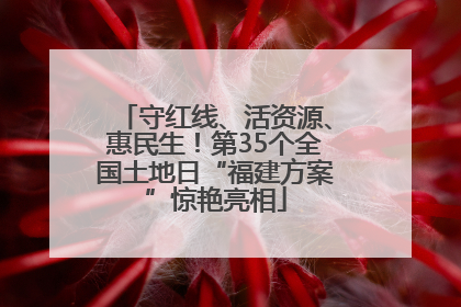 守红线、活资源、惠民生！第35个全国土地日“福建方案”惊艳亮相