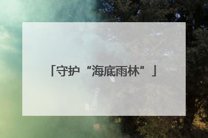 守护“海底雨林”