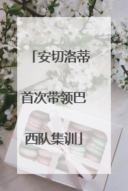 安切洛蒂首次带领巴西队集训