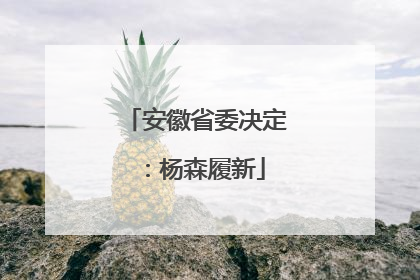 安徽省委决定：杨森履新