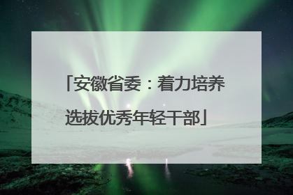 安徽省委：着力培养选拔优秀年轻干部