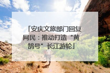 安庆文旅部门回复网民：推动打造“黄鹄号”长江游轮