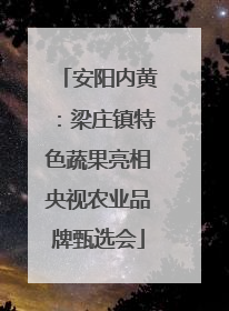 安阳内黄：梁庄镇特色蔬果亮相央视农业品牌甄选会