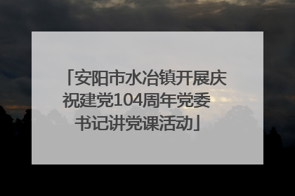 安阳市水冶镇开展庆祝建党104周年党委书记讲党课活动