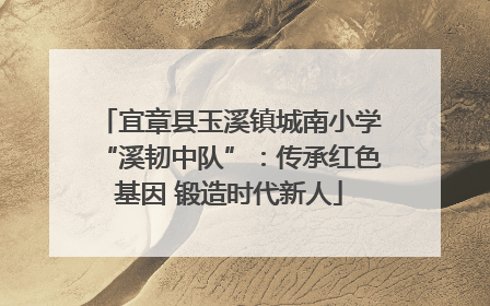 宜章县玉溪镇城南小学“溪韧中队”：传承红色基因 锻造时代新人
