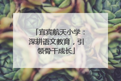 宜宾航天小学：深耕语文教育，引领骨干成长