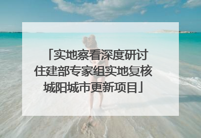 实地察看深度研讨 住建部专家组实地复核城阳城市更新项目