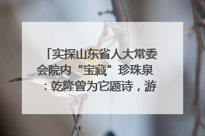 实探山东省人大常委会院内“宝藏”珍珠泉：乾隆曾为它题诗，游客无需预约免费游览