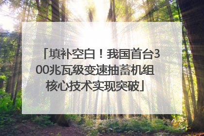 填补空白！我国首台300兆瓦级变速抽蓄机组核心技术实现突破