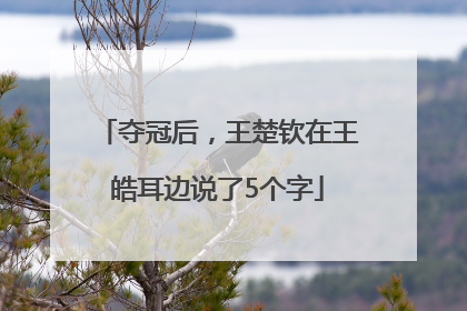 夺冠后，王楚钦在王皓耳边说了5个字