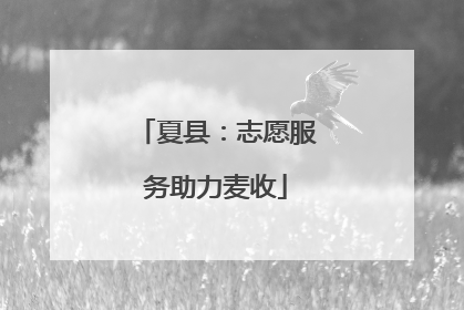 夏县：志愿服务助力麦收