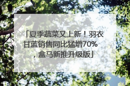 夏季蔬菜又上新！羽衣甘蓝销售同比猛增70%，盒马新推升级版